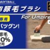 伊勢審判本舗＜豚毛ブラシ【晴天時専用】＞ - 画像 (2)